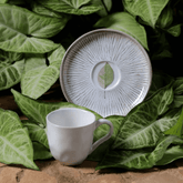 Jogo 6 Xícaras de Café com Pires Bio Evergreen - Ela Decora